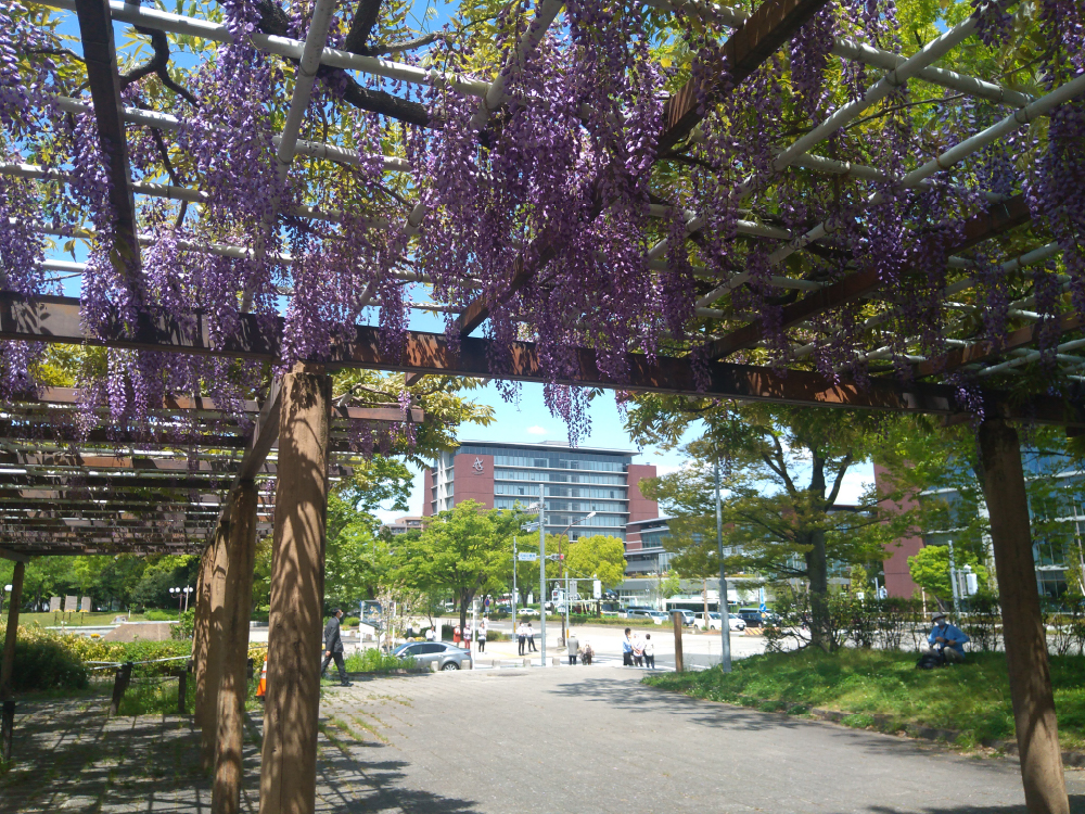 春から初夏へ