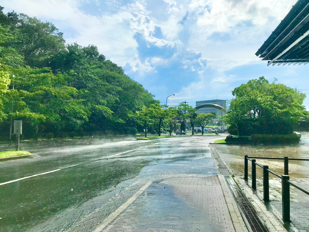 天気雨の帰り道